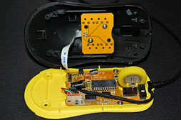 ꡼ No.031 | ZOWIEοޥFKץӥ塼Counter-StrikeΥ쥸ɤƽϡ٤ʤ⤤