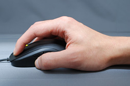 ꡼ No.007Υͥ / HWûɾZOWIEFK2ס1˥Ȱ䤹ǧ