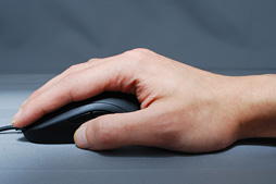 ꡼ No.008Υͥ / HWûɾZOWIEFK2ס1˥Ȱ䤹ǧ