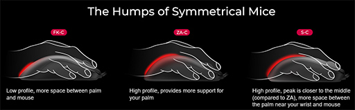 ꡼ No.003Υͥ / BenQZOWIE֥ɤαͭޥ4꡼16ʤľθȯ䡣ƱΥܥ֤䥻󥵡Ƿۤʤ