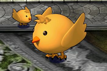 ���������꡼ No.009�Υ���ͥ������ / ��Le Ciel Bleu�פǽ����籿ư�񡣼ڤ�ʪ����ʤɤ˻��ä��褦