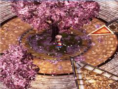 ���������꡼ No.011�Υ���ͥ������ / ��Le Ciel Bleu�פȥ��˥���礤��졪�˥��Ҥ���W�פΥ���ܤ���������