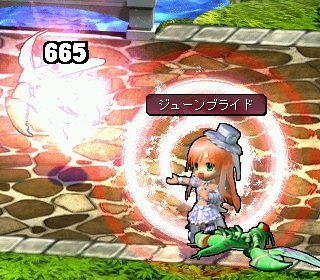 ���������꡼ No.005�Υ���ͥ������ / ��Le Ciel Bleu�ס��ڥåȥ����ɡ֥����פ��о줹�뿷����BOX������