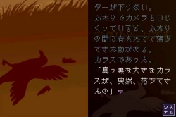 画像ギャラリー No.004のサムネイル画像 / 「『超』怖い話DS 青の章」,謎の美人がムービーでゲーム紹介