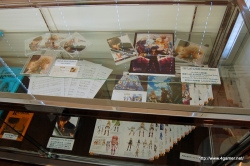 ꡼ No.002Υͥ / ץδRPGLAST RANKER״Ϫݡȡëˤ¼ͪ줵ˤܥɥޤˤȡåͤݡ