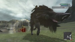 ꡼ No.006Υͥ / ֥ˡ ץꥫȡסо쥭饯ô륭㥹Ȥȯɽ