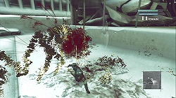 ꡼ No.007Υͥ / ץ쥤䡼ץ쥤ؤͶѤȳΤʥˤȤʤФοˤܤΡ֥ˡ ץꥫȡ