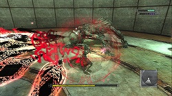 ꡼ No.016Υͥ / ץ쥤䡼ץ쥤ؤͶѤȳΤʥˤȤʤФοˤܤΡ֥ˡ ץꥫȡ