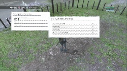 ꡼ No.027Υͥ / ץ쥤䡼ץ쥤ؤͶѤȳΤʥˤȤʤФοˤܤΡ֥ˡ ץꥫȡ