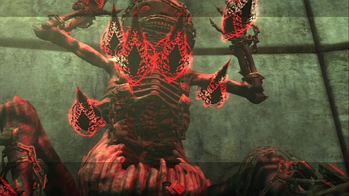 ꡼ No.028Υͥ / ץ쥤䡼ץ쥤ؤͶѤȳΤʥˤȤʤФοˤܤΡ֥ˡ ץꥫȡ