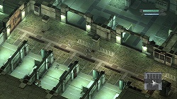 ꡼ No.029Υͥ / ץ쥤䡼ץ쥤ؤͶѤȳΤʥˤȤʤФοˤܤΡ֥ˡ ץꥫȡ