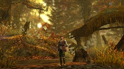 ꡼ No.035Υͥ / ǸεΡַɱо졪PS3򵳻ʪ -ȰǤγ-פκǿϤ