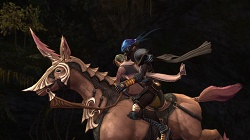 ꡼ No.021 | 򵳻ʪ -ȰǤγ-˴θߥȡԤ󡣿ʥ饯ʲƮƥҲ