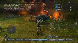 ꡼ No.032 | 򵳻ʪ -ȰǤγ-˴θߥȡԤ󡣿ʥ饯ʲƮƥҲ