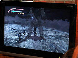 ꡼ No.008 | ƥ⥫ʥ䤦ȿ̵ФλѡɤȤϡTROY̵Сץ֥θݡ