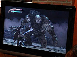 ꡼ No.009 | ƥ⥫ʥ䤦ȿ̵ФλѡɤȤϡTROY̵Сץ֥θݡ