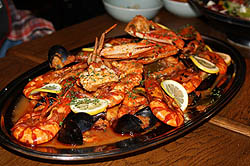 ꡼ No.018 | ƥ⥫ʥ䤦ȿ̵ФλѡɤȤϡTROY̵Сץ֥θݡ