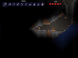 ꡼ No.012 | ޥեĤ󼡸褤59ֵӭ˳ĩॵСѥ󥯥ȥ