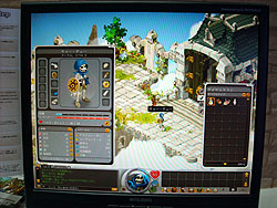 ꡼ No.002 | TGS 2009ϥե󥹿ͤϡ˨ɤ򤷤Ƥ롪 饯襤MMORPGDofusʥɥեˡפܸ첽ƾΦ