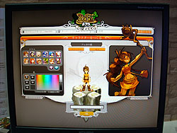 ꡼ No.005 | TGS 2009ϥե󥹿ͤϡ˨ɤ򤷤Ƥ롪 饯襤MMORPGDofusʥɥեˡפܸ첽ƾΦ