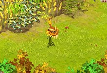 ꡼ No.002Υͥ / DOFUSץ󥸥κǱԤܥλѤǧ褦饹Ҳ𤹤3ܤΥࡼӡUP