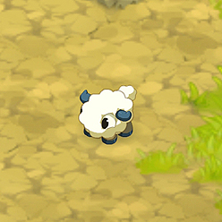 ���������꡼ No.006�Υ���ͥ������ / �֥ɥե��ס��͵���󥹥��������̽и��������̥��٥�Ȥ򳫺�