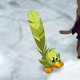 ꡼ No.001Υͥ / DOFUSס󥭥ڡȥԥסɳ