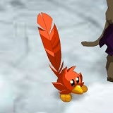 ꡼ No.003Υͥ / DOFUSס󥭥ڡȥԥסɳ