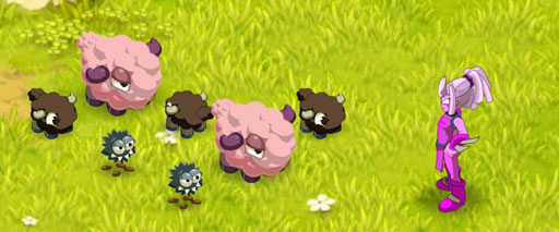 ꡼ No.002Υͥ / DOFUSס٥ȡ󥿥פ220ޤǳ