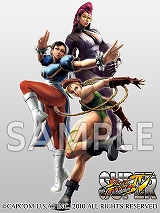 ���������꡼ No.004�Υ���ͥ������ / �֥����ѡ�����IV��6��Ϣ³���Ԥ������ۿ��������ϰ���3���о�