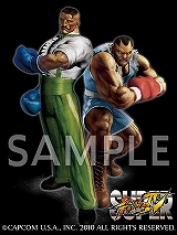 ���������꡼ No.005�Υ���ͥ������ / �֥����ѡ�����IV��6��Ϣ³���Ԥ������ۿ��������ϰ���3���о�