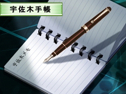 ꡼ No.010Υͥ / ȱҡɤ˥ƥɡDSо졣ָĿDSפ2009ǯ12ȯͽ