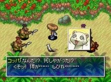 ꡼ No.014 | ˿Ϥޤ롪͵꡼ǿԻ׵ĤΥ󥸥Υ4δȰΥإפȯ