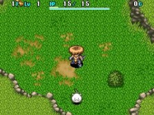 ꡼ No.028 | ˿Ϥޤ롪͵꡼ǿԻ׵ĤΥ󥸥Υ4δȰΥإפȯ