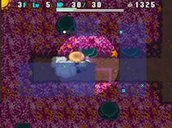 ꡼ No.004Υͥ / Υ4ץ󥽥ե¼Ĺˤ¶ư轵