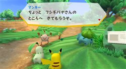 ꡼ No.013 | ԥ奦˽졩 ֥ݥѡWii ԥ奦׸Ȥץ󤷰Υ󤬸