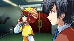 ꡼ No.006 | ֥ߥ륭ۡॺסȯǿ˷ʡȥͥɤPV