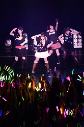 ���������꡼ No.030�Υ���ͥ������ / �ߥ륭���ۡ��ॺ�����������ֲ��͡פˡ����˥��Ʊ���������塼�������ä����С��ˤ��饤�֤��ݡ��� 