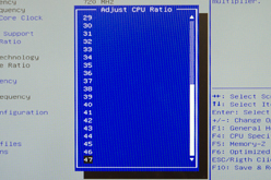 ꡼ No.012Υͥ / Ψåե꡼Fusion APUA8-3870Kפо졣κǾ̥ǥȰ㤤٤Ƥߤ