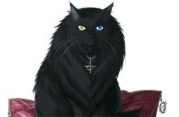 ꡼ No.001Υͥ / ־Ǹƴפǥ뤬1ǭꤲפפ