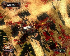 ꡼ No.020Υͥ / Сեȡ֥եȥӡܸޥ˥奢ձѸǡۡס֥ӥɥ饤Сڴܸǡۡפ611ȯ