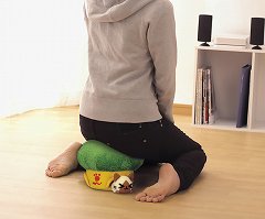 ���������꡼ No.013�Υ���ͥ������ / �֤ݤ��ݤ������롼¼��PSP�ѥ������̤�����ߤʤɤ�³���о�