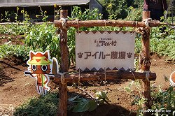 ���������꡼ No.002�Υ���ͥ������ / �ꥢ��ʡ֥����롼����פǡȥͥ����㡼���θ������ϥ�������μ����θ��ĥ����ˤ����⤷�Ƥ���