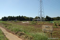 ���������꡼ No.003�Υ���ͥ������ / �ꥢ��ʡ֥����롼����פǡȥͥ����㡼���θ������ϥ�������μ����θ��ĥ����ˤ����⤷�Ƥ���