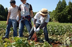 ���������꡼ No.014�Υ���ͥ������ / �ꥢ��ʡ֥����롼����פǡȥͥ����㡼���θ������ϥ�������μ����θ��ĥ����ˤ����⤷�Ƥ���