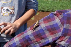 ���������꡼ No.023�Υ���ͥ������ / �ꥢ��ʡ֥����롼����פǡȥͥ����㡼���θ������ϥ�������μ����θ��ĥ����ˤ����⤷�Ƥ���