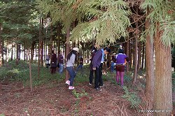 ���������꡼ No.039�Υ���ͥ������ / �ꥢ��ʡ֥����롼����פǡȥͥ����㡼���θ������ϥ�������μ����θ��ĥ����ˤ����⤷�Ƥ���