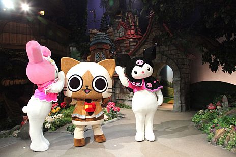 ꡼ No.010Υͥ / Ƶ٤ߤͷӤ˹Ԥ֥롼ߥޥǥ 餭ե in ꥪԥ塼ɡפŵդåȡפץ䳫