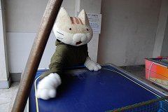 画像ギャラリー No.011のサムネイル画像 / 「TEAM Entertainment Live Act 2011」チケット販売中。収益の一部が義援金に