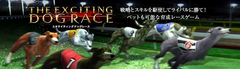 ���������꡼ No.001�Υ���ͥ������ / �ܳ�3D�����ɥå��졼��������֥� ���������ƥ��󥰥ɥå��졼���ס��ϥ󥲡���ˤƥƥ��ȥ����ӥ�����������